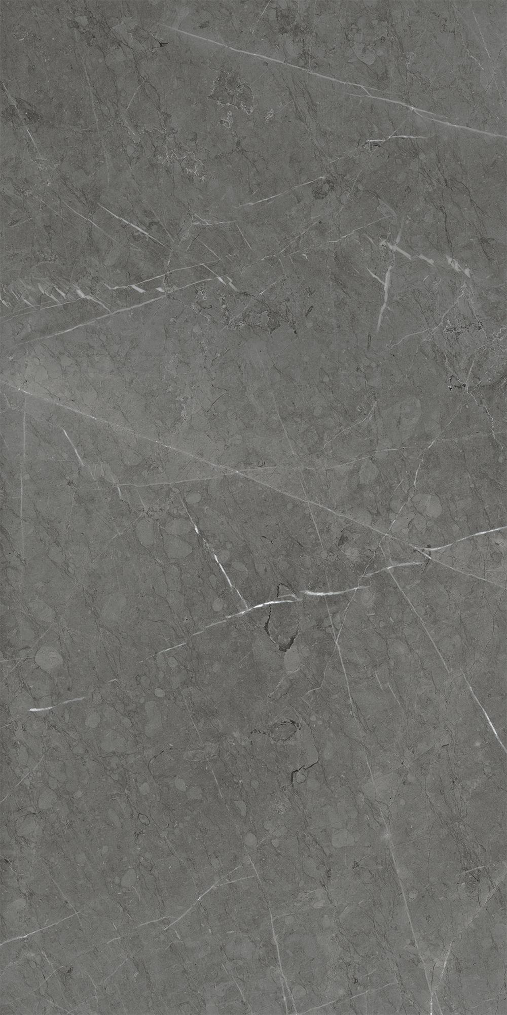 Skala 2203 Темно-серый Матовый 60х120