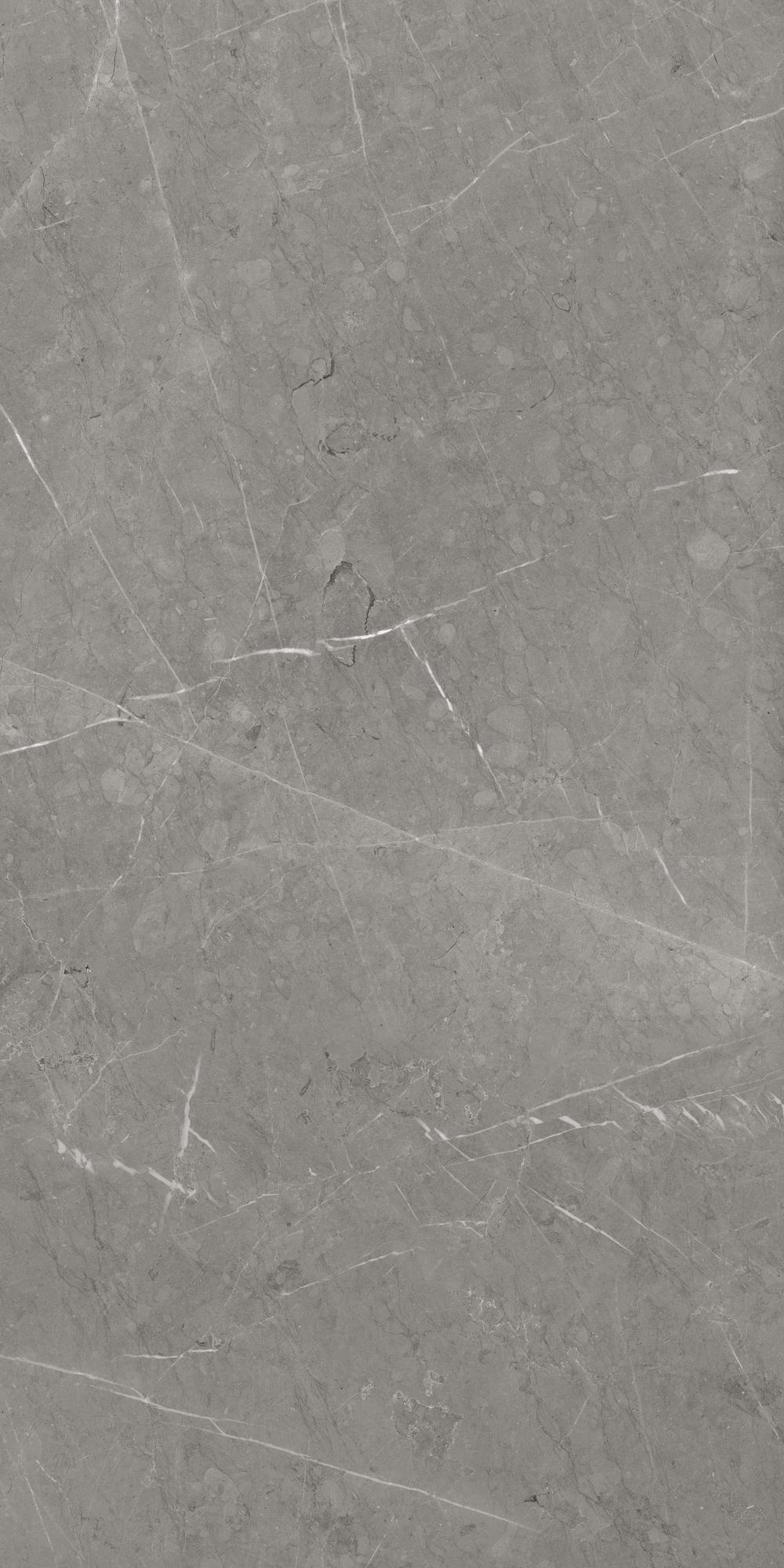 Skala 2202 Серый Лаппатированный 60х120