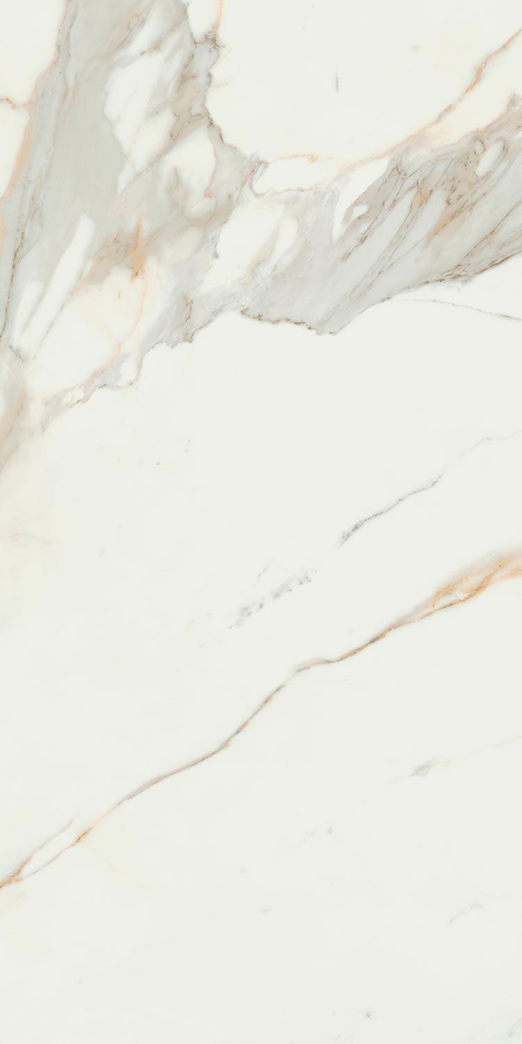 Calacata Gold  leviglass 60x120 Rec.