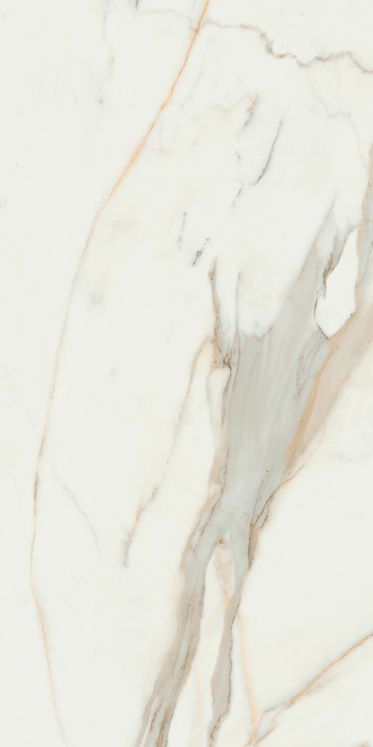 Calacata Gold  Compacglass 60x120 Rec.