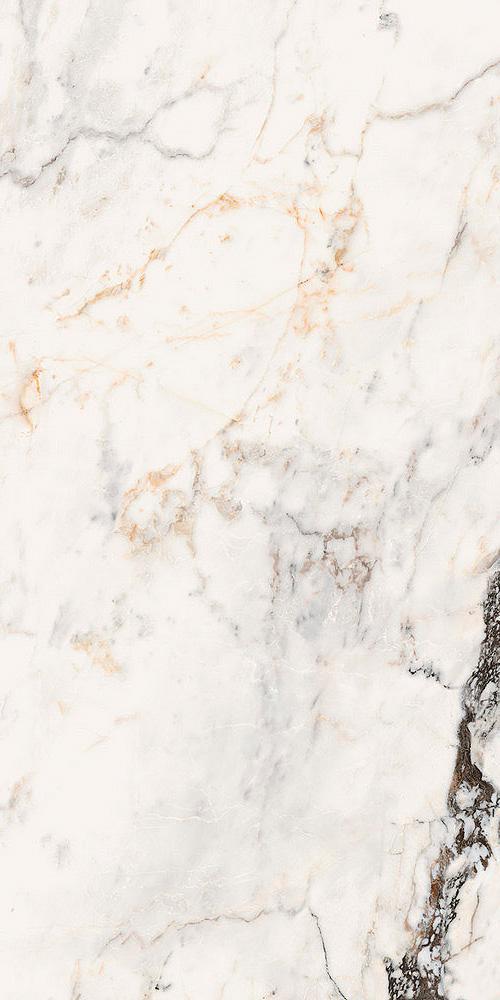 AE PAO6 12 RM |60x120