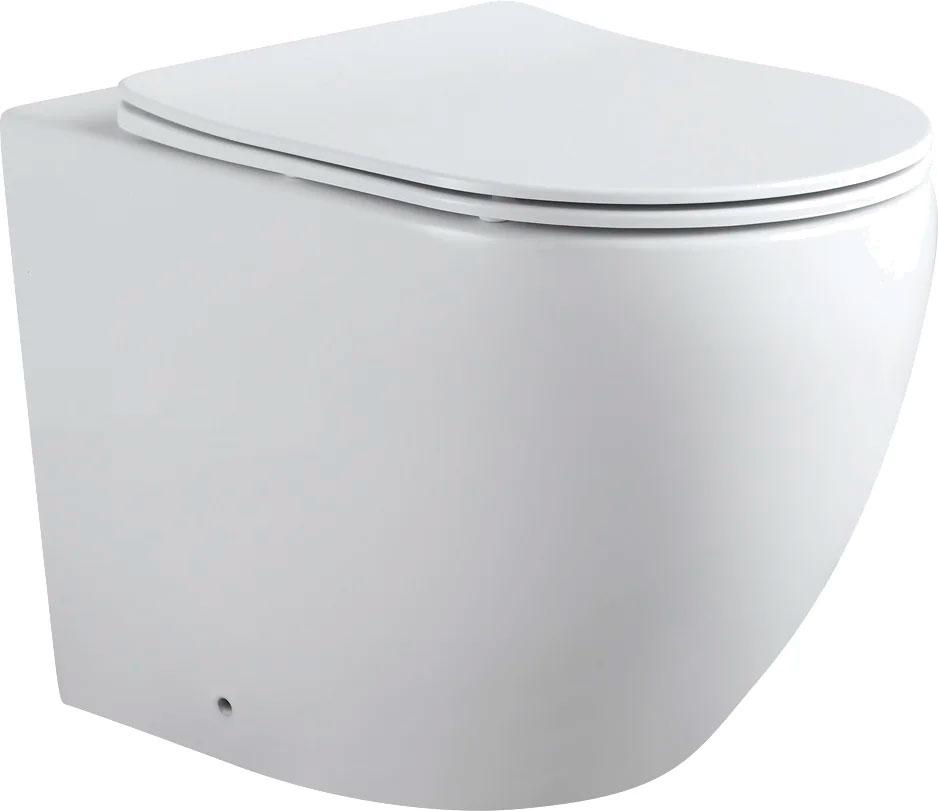Унитаз приставной Rimless Cetus 2.0 F LX-1902 56х36 см с сиденьем Soft Close, цвет белый ZZ