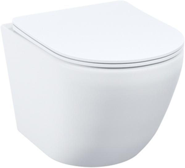 Унитаз подвесной безободковый BLQRDSEI25, 505х430х405 см, крышка-сиденье Soft Close и Easy Fix в комплекте, цв. белый ZZ