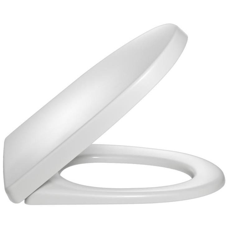 Крышка-сиденье для унитаза Rodin, с микролифтом ZZ