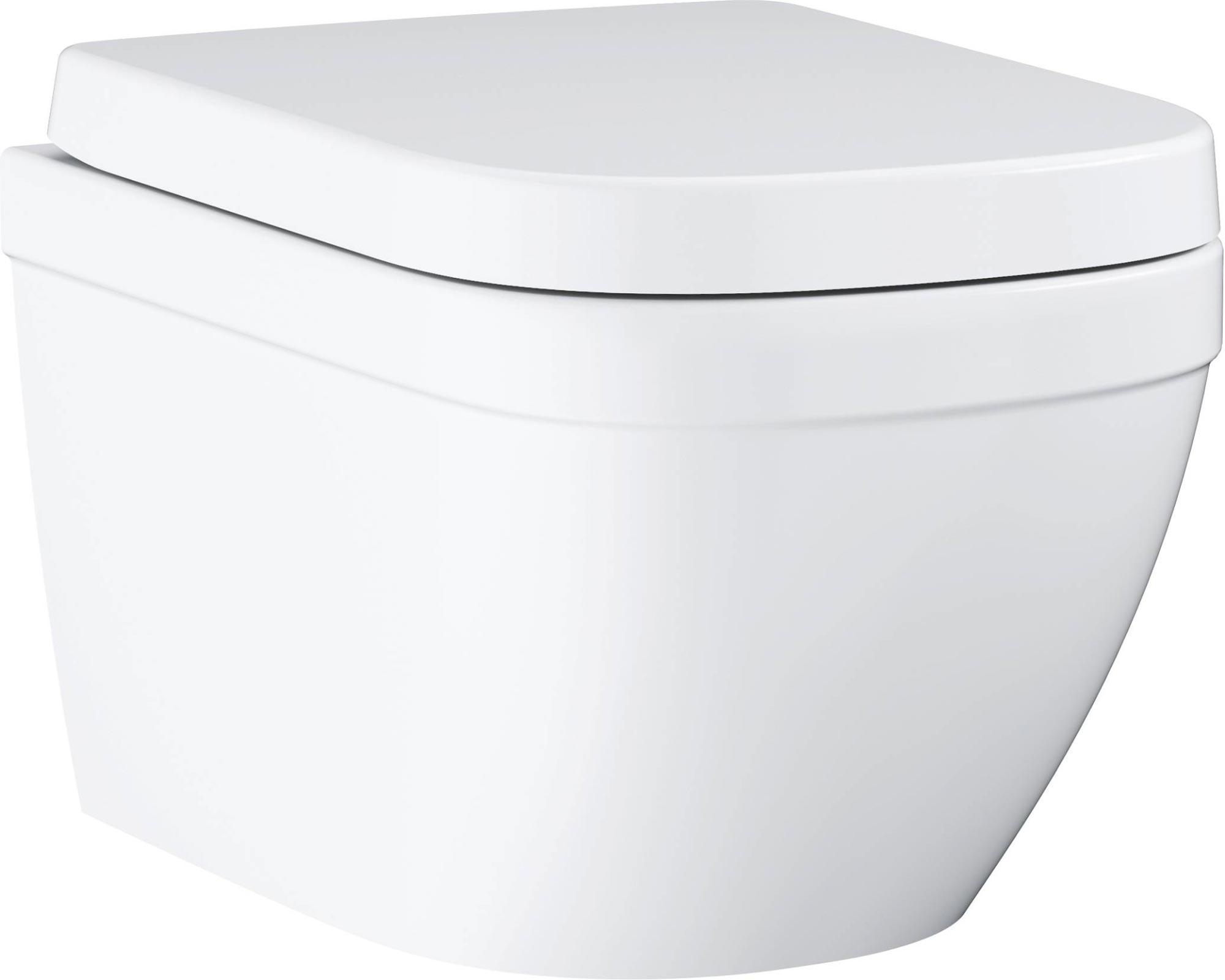 Подвесной унитаз с крышкой микролифт, цв.белый ZZ