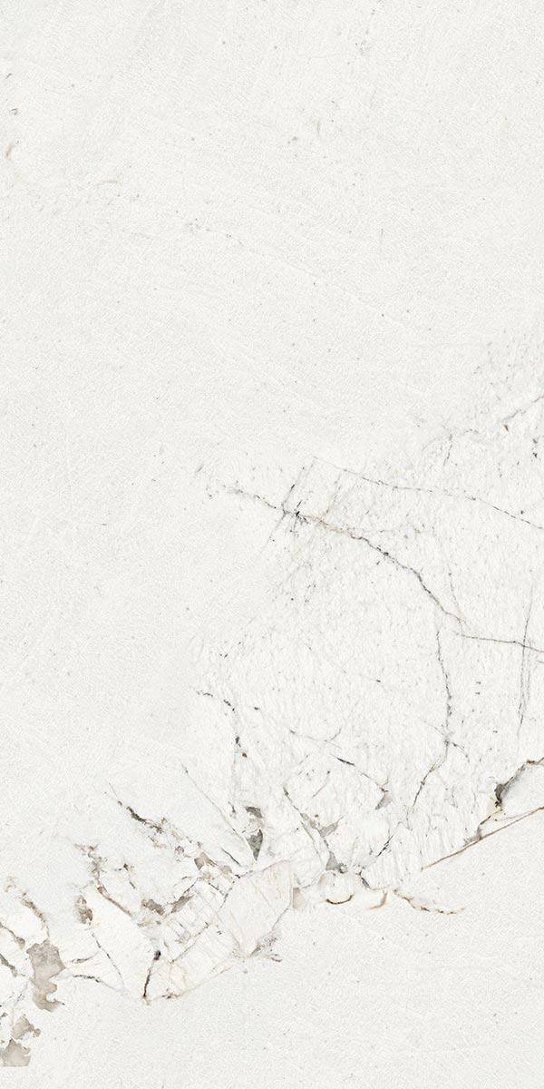 PATAGONIA LIGHT 31.5x63