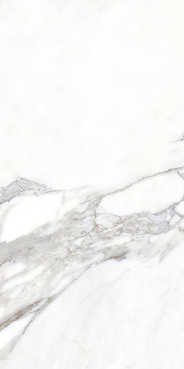 Medici White Natural |80x160