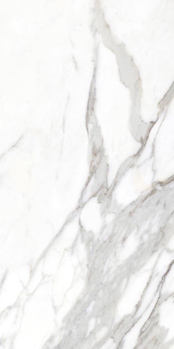 Medici White Natural KL |60x120