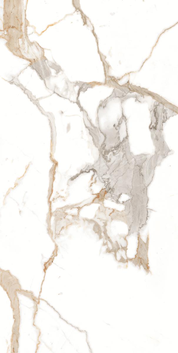 Medici Gold Pulido KL |60x120