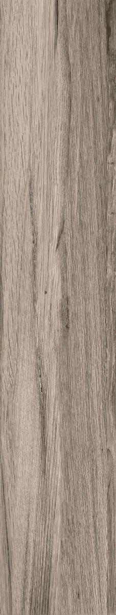 Сeylan Gris Rec NPLus  ZZ |22x118