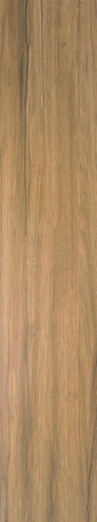 Ceylan Roble Rec.NPLus ZZ |22x118