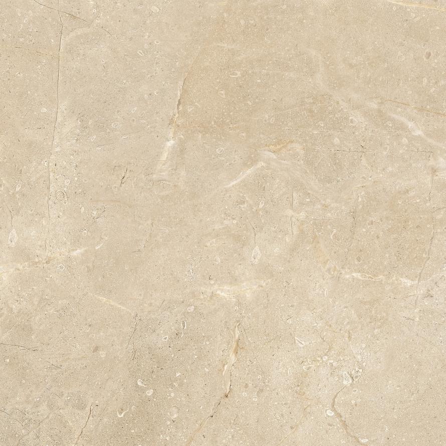 Lord Crema Rec.NPLus Lap ZZ |75x75