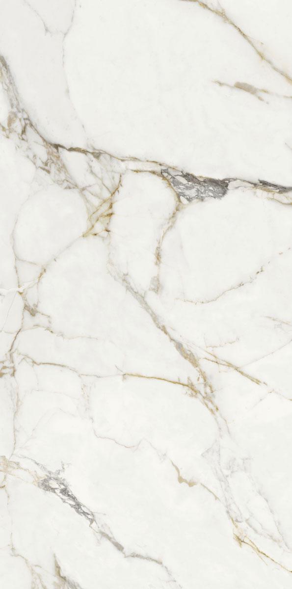 Ravena Pulido|80x160