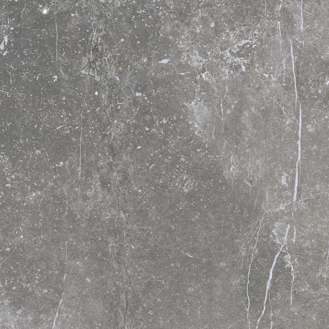 Pietra Antica Grigio 80x80