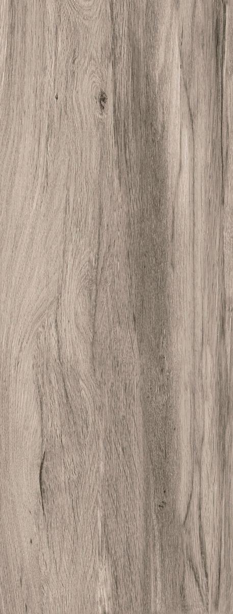 Сeylan Gris Rec NPLus ZZ |45x118