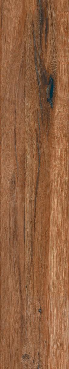 Сeylan Сaoba Rec NPLus ZZ |22x118