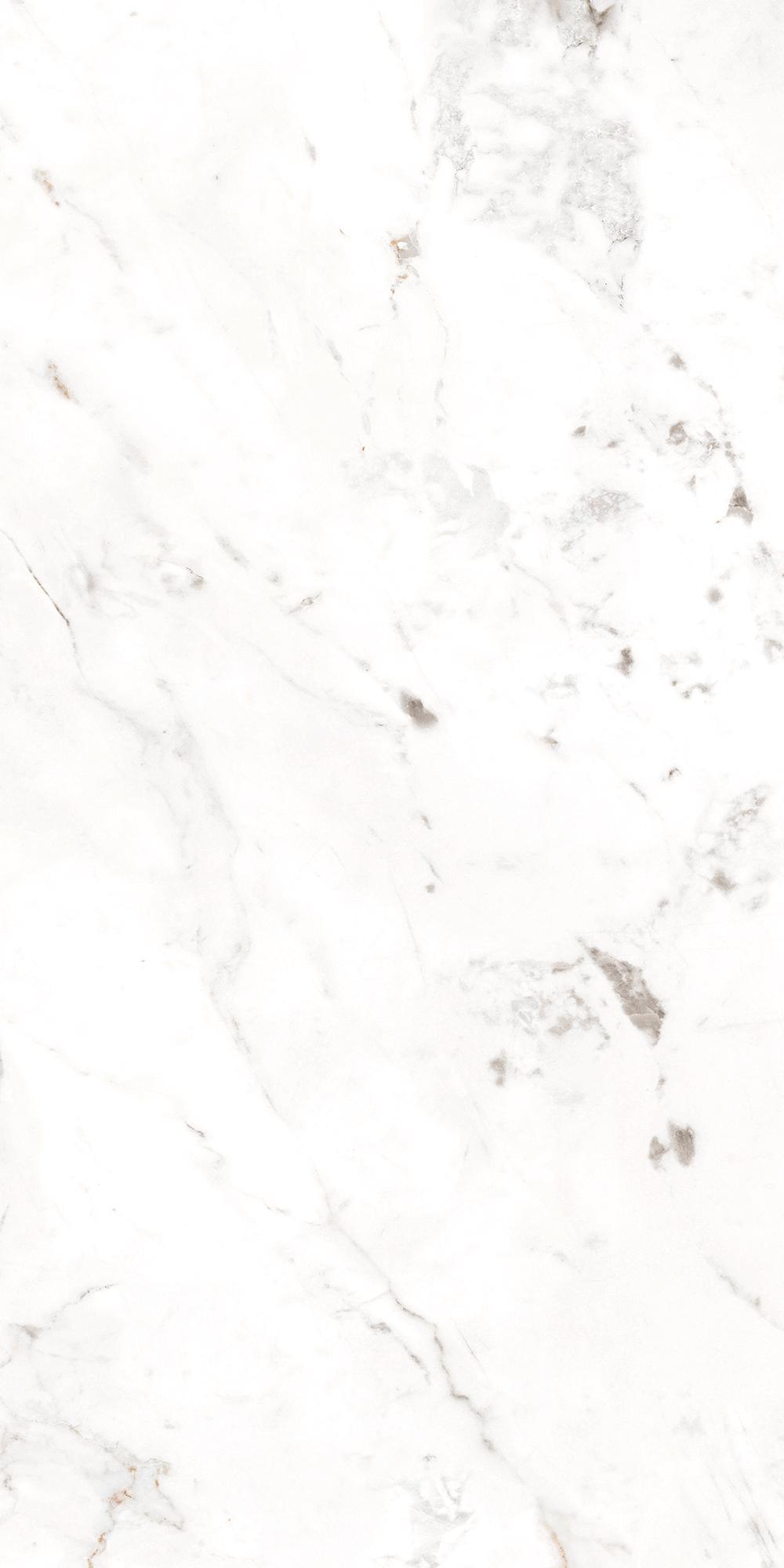 Base Carrara Blanco Liso |60x120