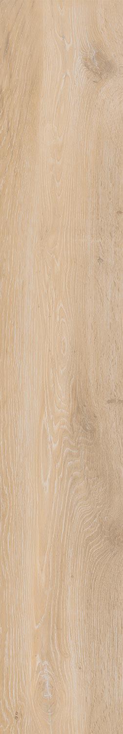 At. Viggo ArceRett|20x120