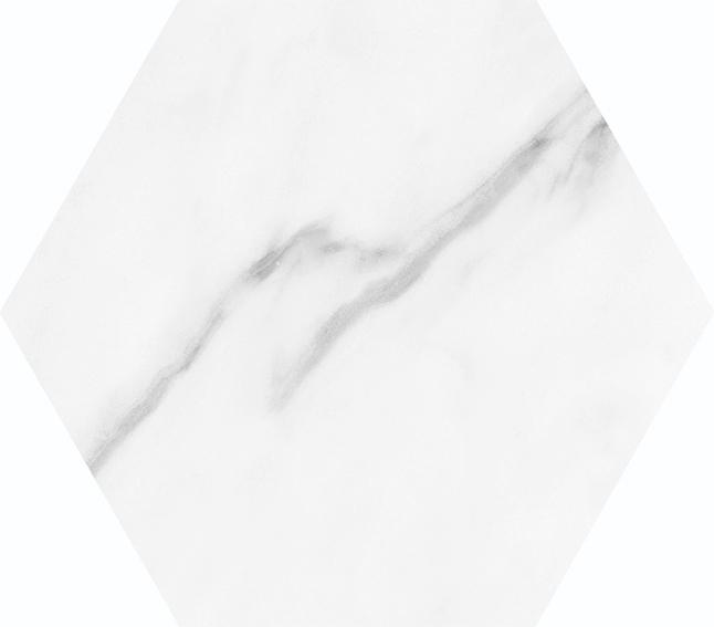 Lincoln M White hexagon 19,8x22,8 XX